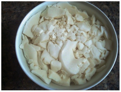 Chinese Tofu Custard